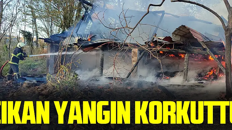 Çıkan Yangın Korkuttu