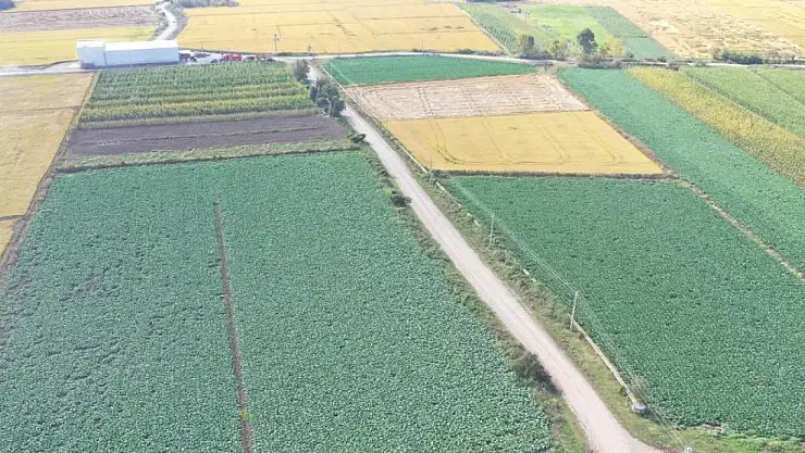 Tarım Ürünleri sıralamasında Türkiye'de ilk sırlamada