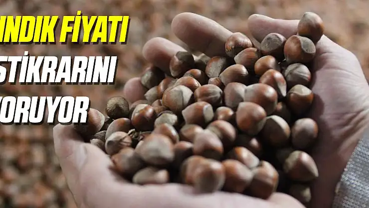 Yılın son ayına girerken fındık fiyatı istikrarını koruyor