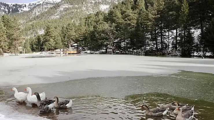 Limni Gölü Tabiat Parkı  ev sahipliği yapıyor