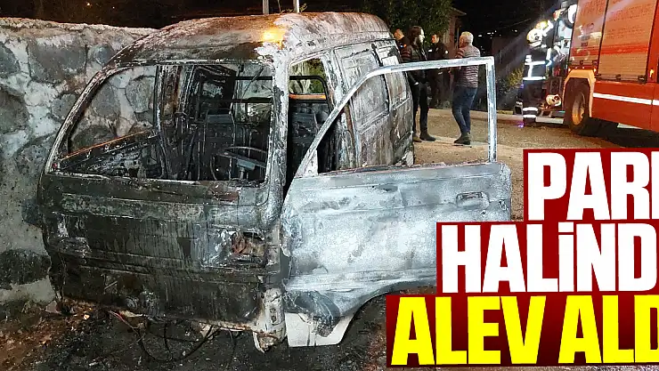 Park halinde alev aldı