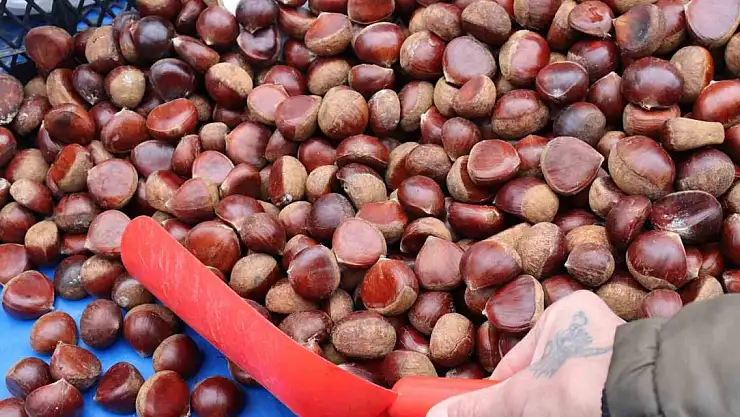 Kış aylarının vazgeçilmezi kestane pazarda yerini aldı