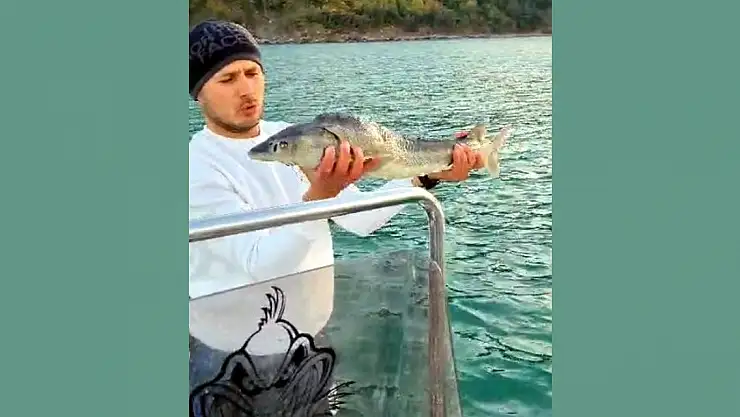 Nesli tükenmek üzere