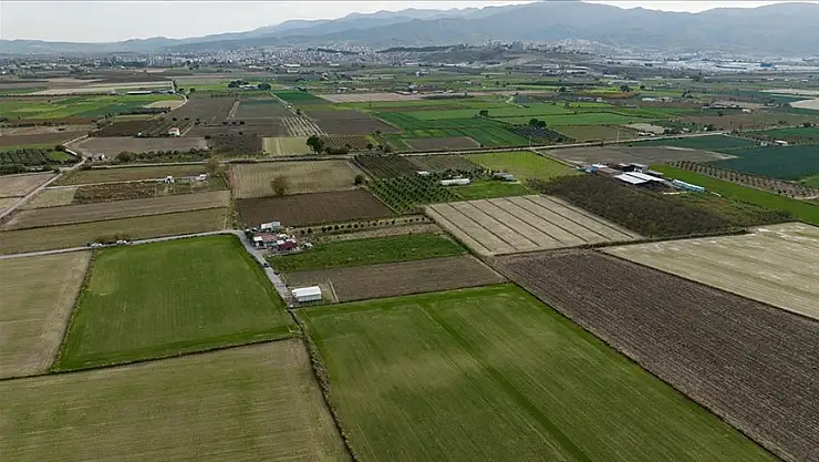 Kasım yağmurları çiftçinin yüzünü güldürdü