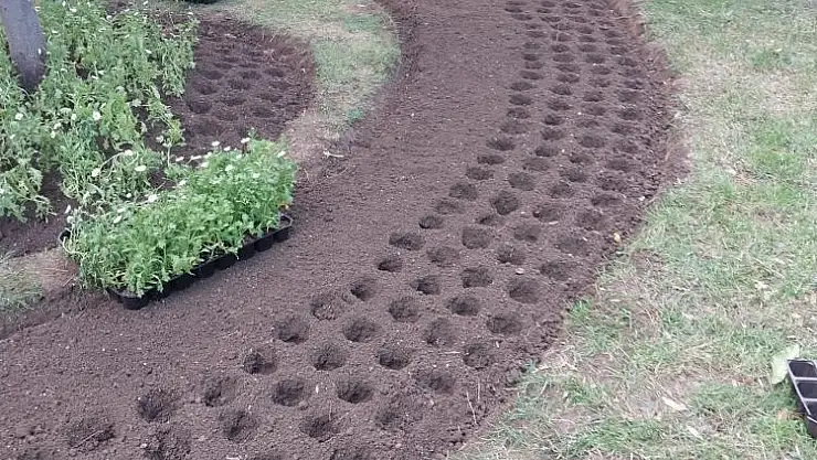 İlkadım'a Mevsimlik Çiçek