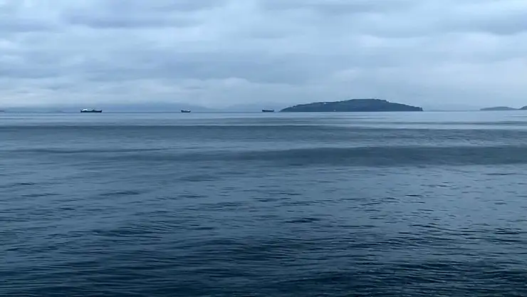 Deprem Sonrası Denizdeki Hareketlilik