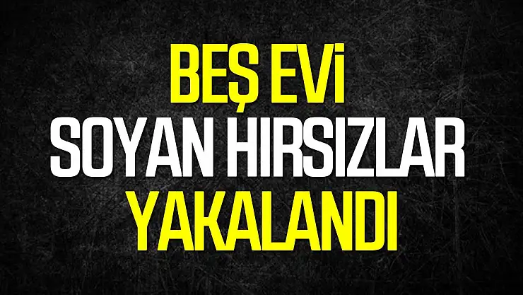 5 Evi Soyan Hırsızlar Yakalandı