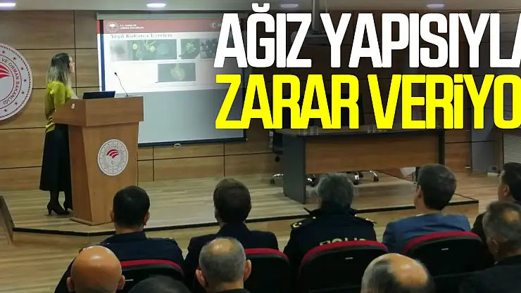 Ağız Yapısıyla Zarar Veriyor