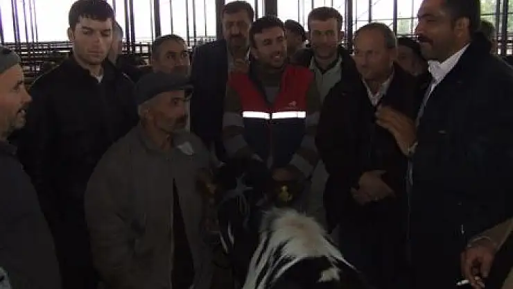 Kurbanlıklar Yerinde Sayıyor