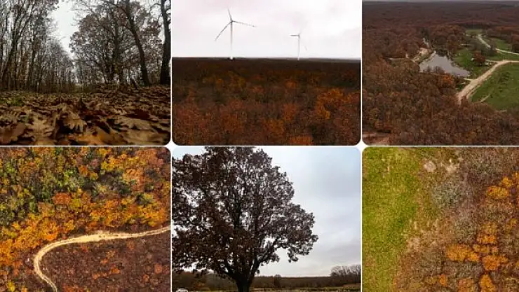 İkiz Göller'de renk cümbüşü