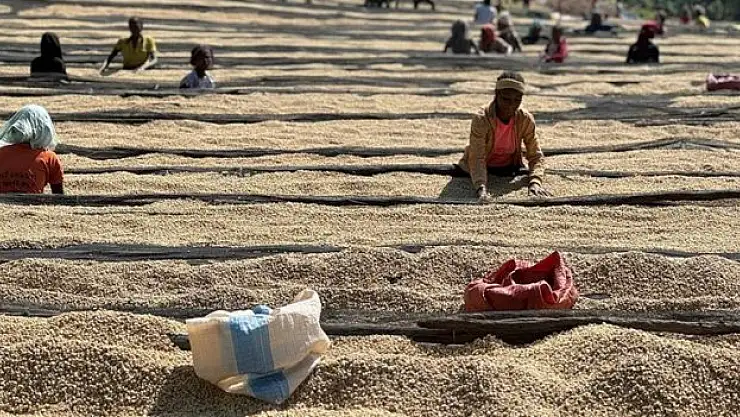 Vazgeçilemeyen lezzet