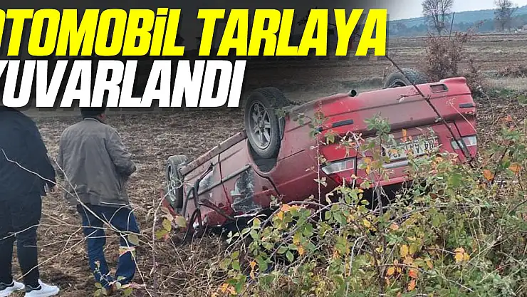 Otomobil tarlaya yuvarlandı