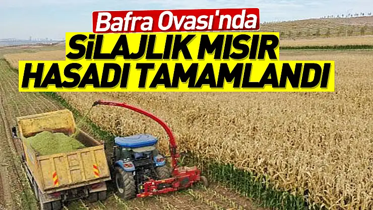 Silajlık mısır hasadı tamamlandı
