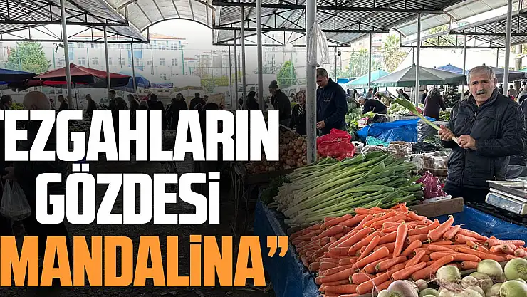 Tezgahların Gözdesi 'Mandalina'