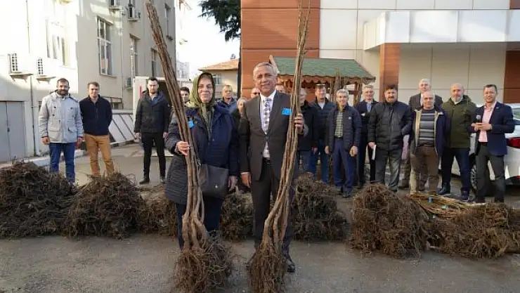 Üreticilere fidan desteği