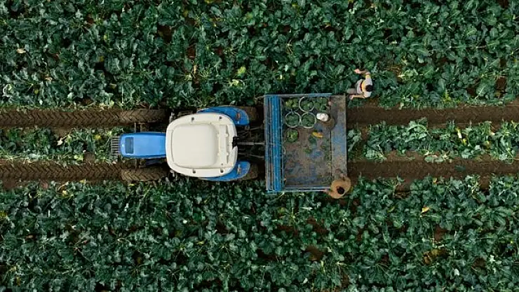 Destek ödemesi başladı