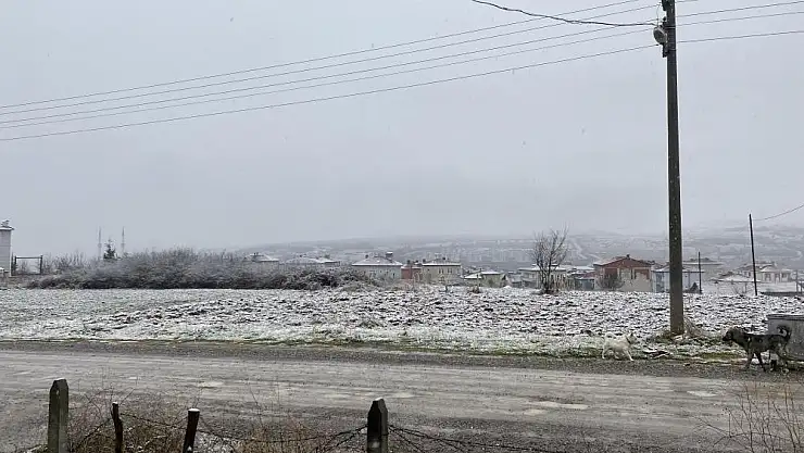 Kavak Beyaza Büründü