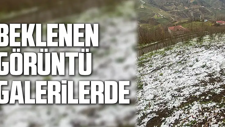 Beklenen Görüntü Galerilerde