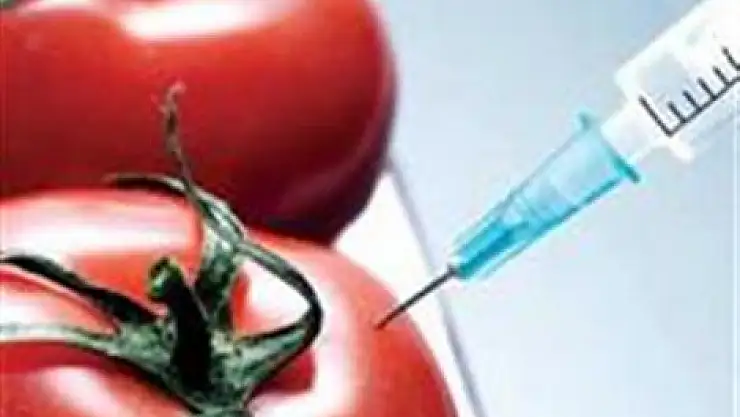 ABD'den Türkiye'ye GDO şantajı