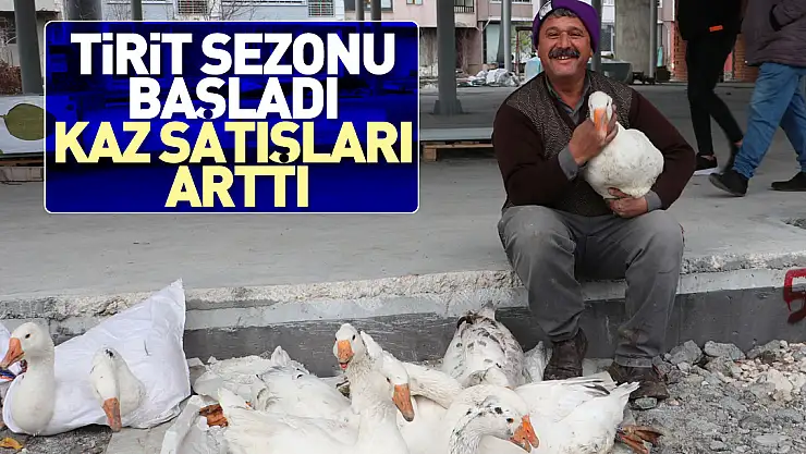 Tirit sezonu başladı kaz satışları arttı
