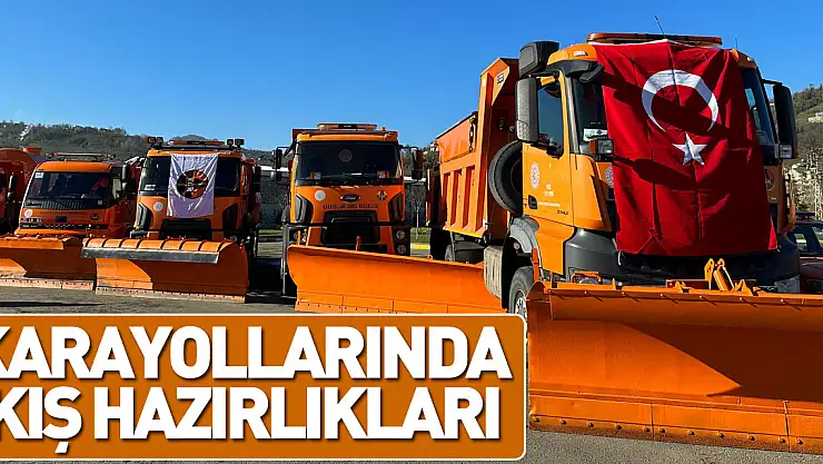 Karayollarında Kış Hazırlıkları