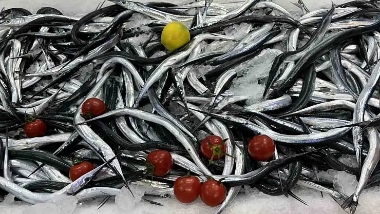 Fosfor kaynağı zargananın kilosu 150 lira