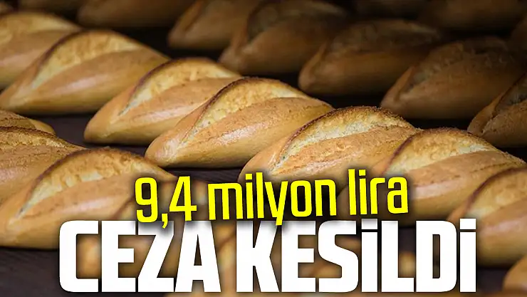 9,4 milyon lira ceza kesildi