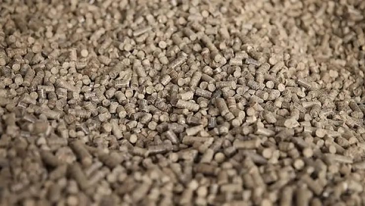 Peletle İhracata Başladı