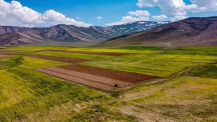 Bitkisel ürünlerde üretim yüzde 10,3 arttı