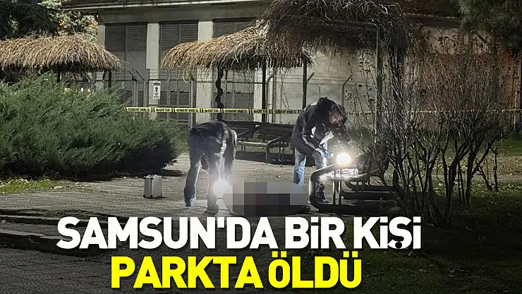 Parkta bir anda yere yığılan şahıs öldü