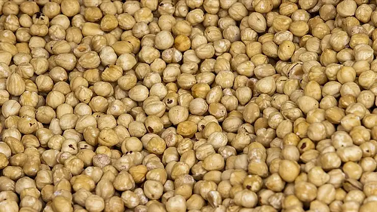 59 ülkeye fındık ihraç edildi