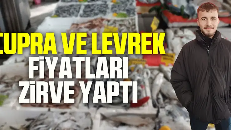 Çupra ve levrek fiyatları zirve yaptı