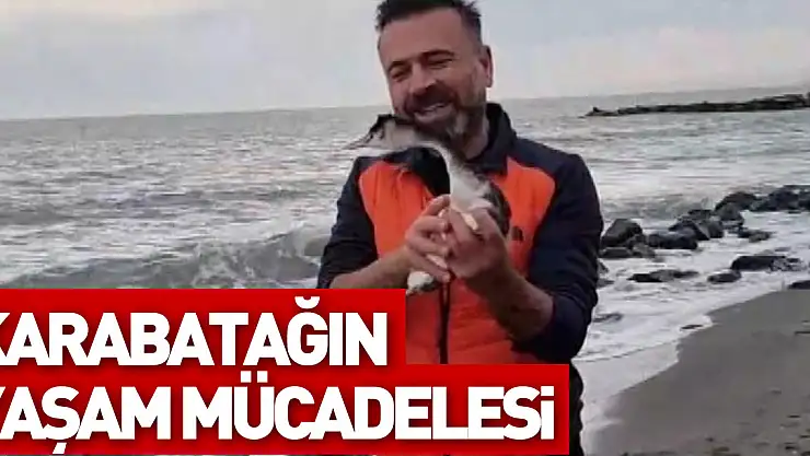 KARABATAĞIN YAŞAM MÜCADELESİ