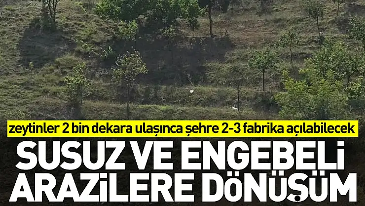 Susuz ve engebeli arazilere dönüşüm