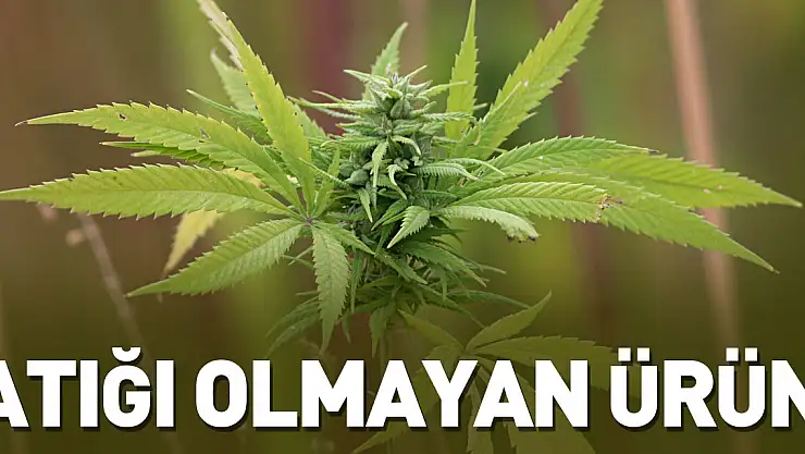 Atığı olmayan ürün
