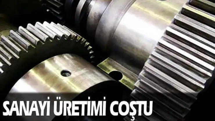 Sanayi üretimi coştu