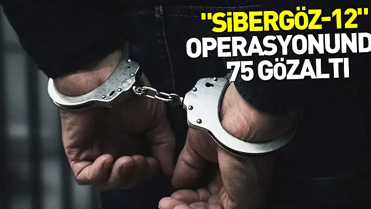 'Sibergöz-12' operasyonlarında 75 gözaltı