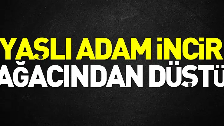 Yaşlı adam İncir ağacından düştü
