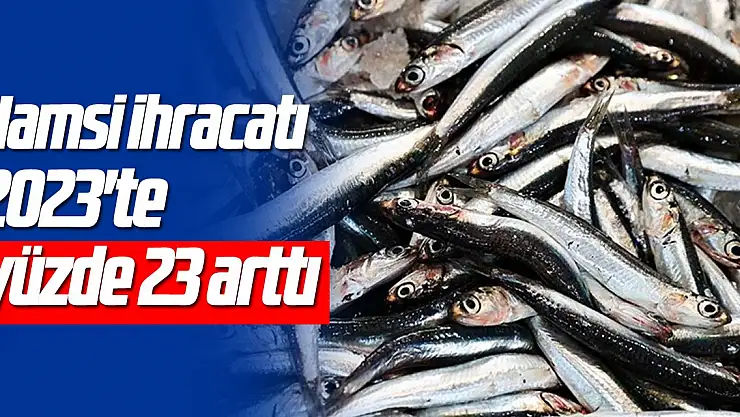 Hamsi ihracatı 2023'te yüzde 23 arttı