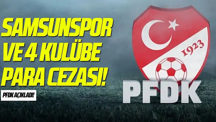 PFDK'dan 5 Süper Lig kulübüne para cezası
