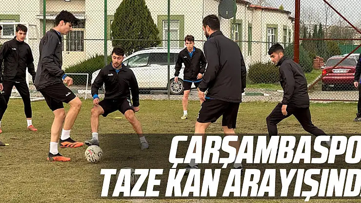 Çarşambaspor Taze Kan Arayışında