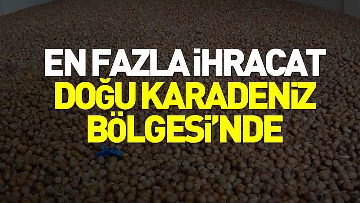 Doğu Karadeniz Bölgesi'nde en fazla ihracat fındık