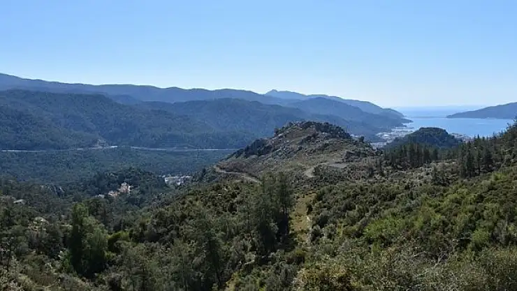 Ziyaretçi sayısı 12 katına çıktı