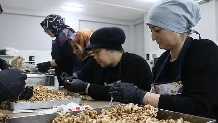 Katma değerli ürüne dönüşüyor