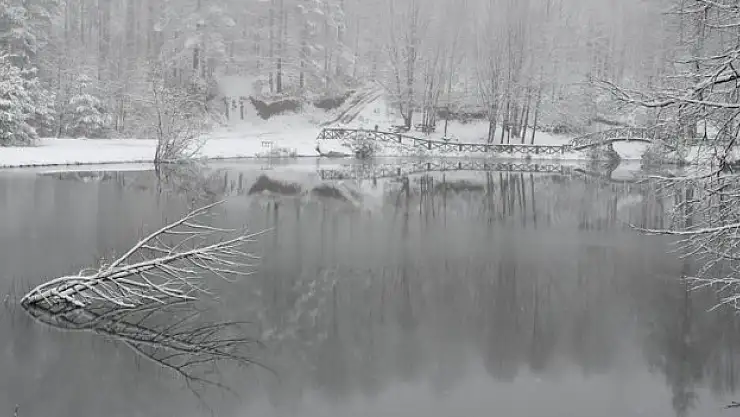 Düzce'de kar yağışı etkili oldu