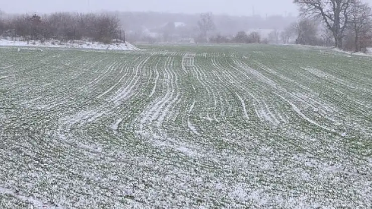 Edirne'de kar buğday üreticilerini sevindirdi
