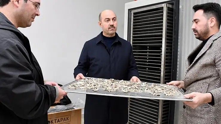 'Tesisimiz faaliyete başladı'