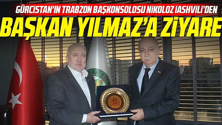 Nikoloz İashvili'den Başkan Yılmaz'a ziyaret