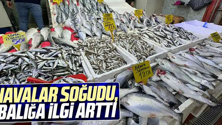 Havalar soğudu, balığa ilgi arttı