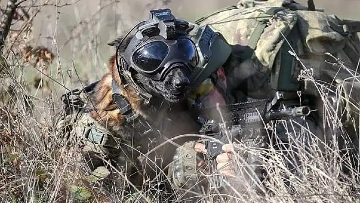 TSK eğitimleri titizlikle sürüyor